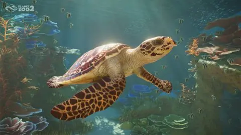 Planet Zoo 2 duyuru görseli (1)