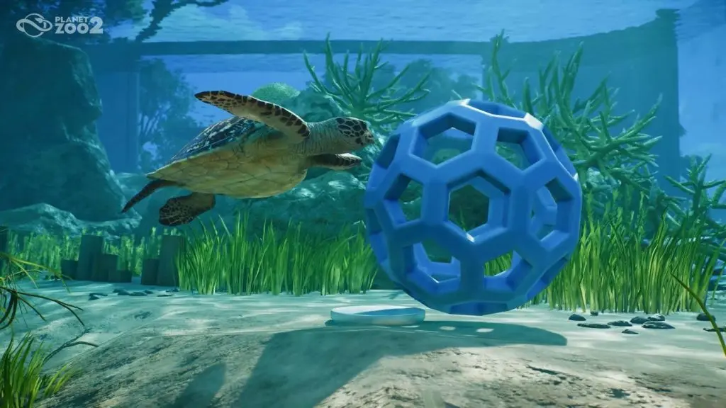 Planet Zoo 2 akvaryumları: tuzlu suya uyarlanmış bir deniz kaplumbağası