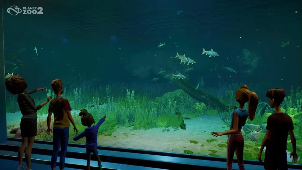 Planet Zoo 2 akvaryumları seyir camı, ziyaretçilerin havuzu izlediği bölüm