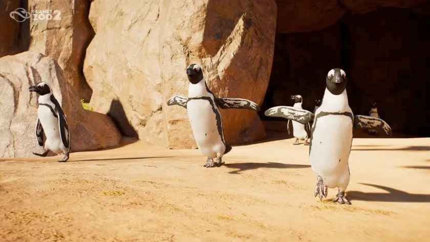 Planet Zoo 2 hayvan beyni: penguenlerin grup hâlinde hareketi
