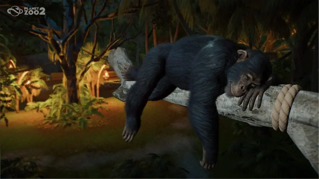 Planet Zoo 2 hayvan beyni: batı şempanzesi, yeni karar sisteminin örneklerinden